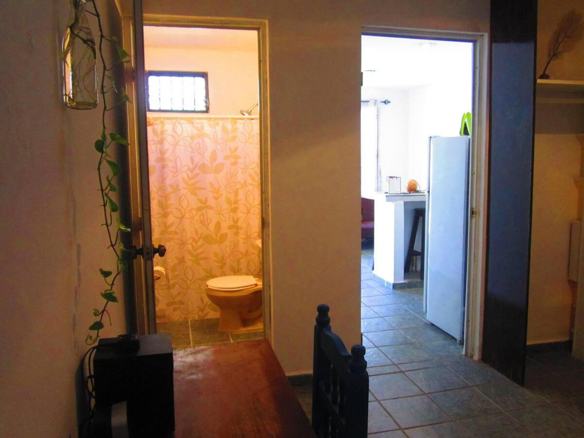 Casa De Hojas Apartment Playa del Carmen Ngoại thất bức ảnh