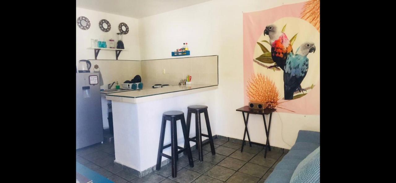 Casa De Hojas Apartment Playa del Carmen Ngoại thất bức ảnh