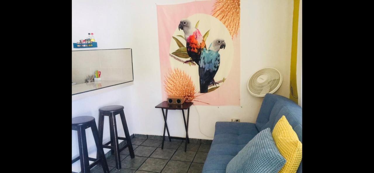 Casa De Hojas Apartment Playa del Carmen Ngoại thất bức ảnh