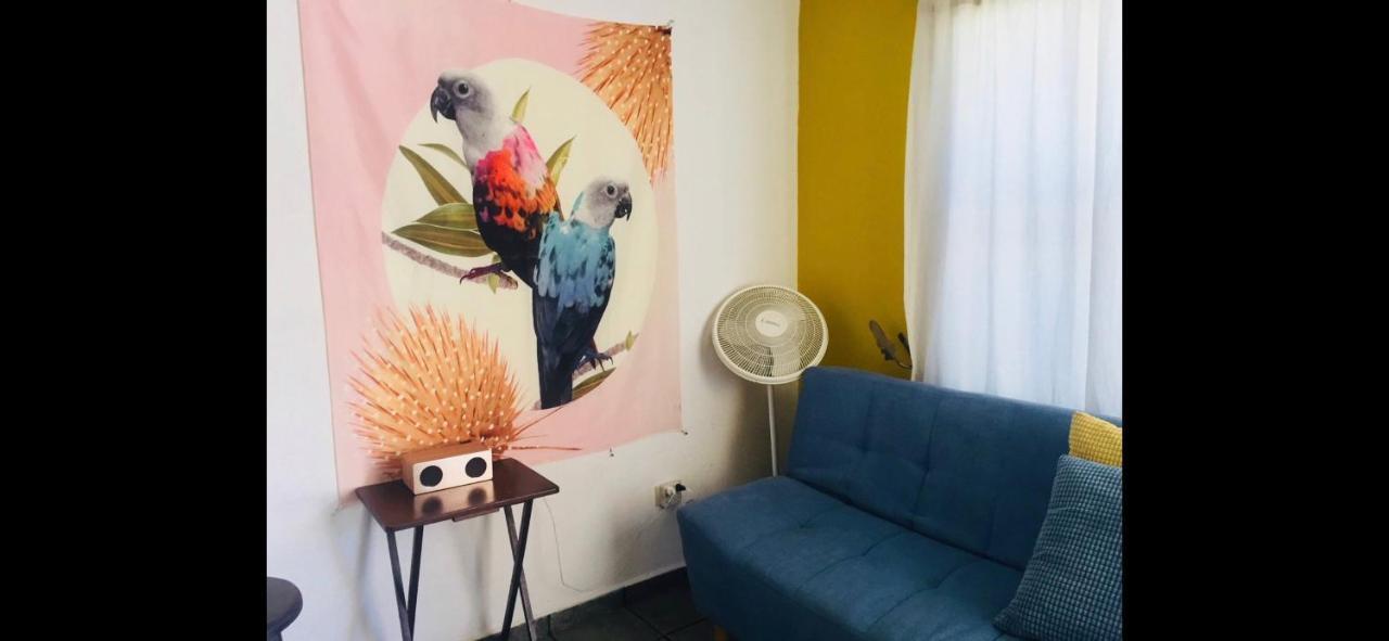 Casa De Hojas Apartment Playa del Carmen Ngoại thất bức ảnh