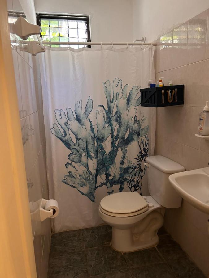 Casa De Hojas Apartment Playa del Carmen Ngoại thất bức ảnh