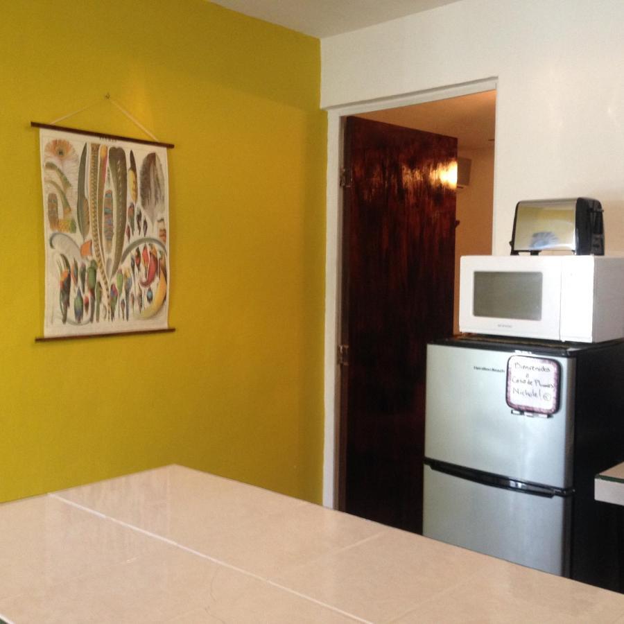 Casa De Hojas Apartment Playa del Carmen Ngoại thất bức ảnh
