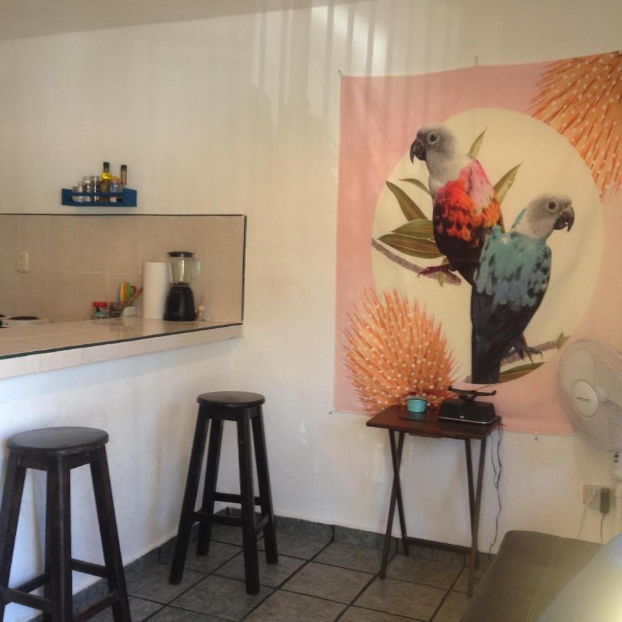 Casa De Hojas Apartment Playa del Carmen Ngoại thất bức ảnh